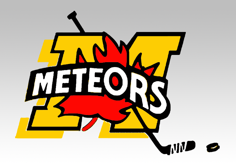 Logo_MitchelleMeteors_780x550